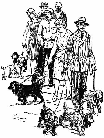 Анастасия Перфильева - Пять моих собак