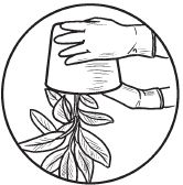 Галина Серикова - Комнатные деревья и кустарники: лимон, вишня, гранат,...