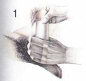 Филлип Ходсон, Энн Хупер - Как доставить настоящее наслаждение мужчине....