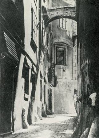 Марина Сененко - Вена