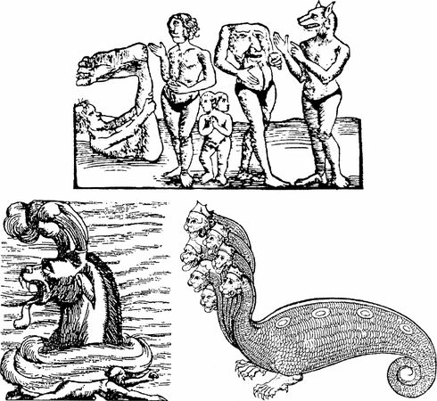 Вячеслав Маркин, Рудольф Баландин - 100 великих географических открытий