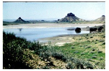 Владимир Мурзин - Приключения в пустыне