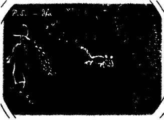 Владимир Леви - Не только депрессия: охота за настроением