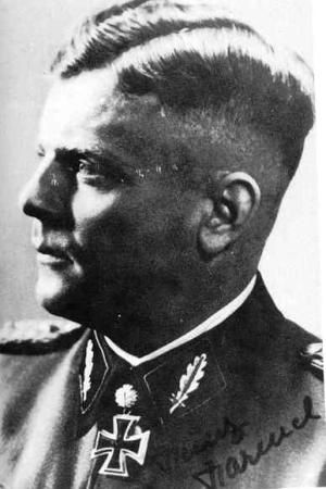 Константин Залесский - СС. Охранные отряды НСДАП