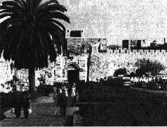 Михаил Каценельсон - Прогулки по Иерусалиму