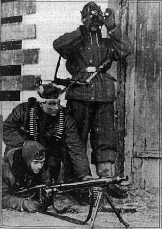 Константин Залесский - СС. Охранные отряды НСДАП