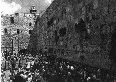 Михаил Каценельсон - Прогулки по Иерусалиму