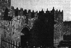 Михаил Каценельсон - Прогулки по Иерусалиму