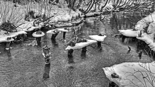 Илья Виницкий - Граф Сардинский: Дмитрий Хвостов и русская культура