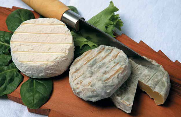 Надежда Бондаренко, Наталья Шинкарёва - Кулинарная энциклопедия. Том 27. П...