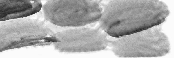 Ирина Краева - Баба Яга пишет (сборник)