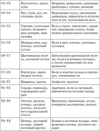 Виктор Ченцов - Первая скрипка позвоночника