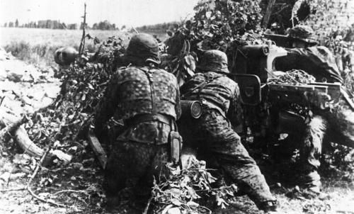 Константин Залесский - СС. Охранные отряды НСДАП