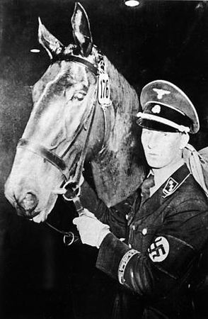 Константин Залесский - СС. Охранные отряды НСДАП