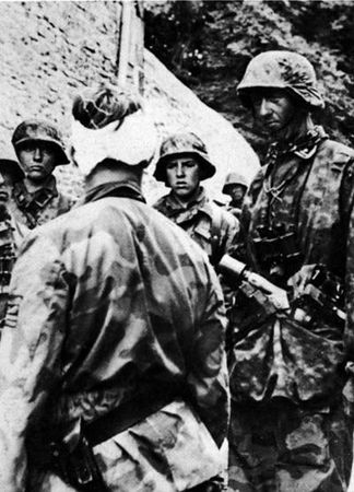 Константин Залесский - СС. Охранные отряды НСДАП