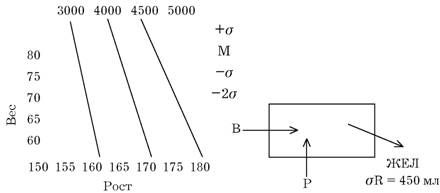Эдуард Сакун - Построение учебного процесса по физическому воспитанию студентов...