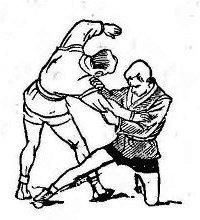 Анатолий Харлампиев - БОРЬБА САМБО