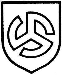 Константин Залесский - СС. Охранные отряды НСДАП