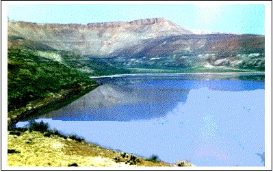 Владимир Мурзин - Приключения в пустыне