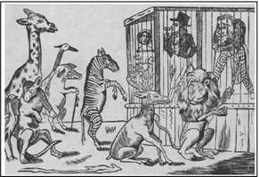 Владимир Козырев, Константин Леонтьев - Авторское право. Вводный курс