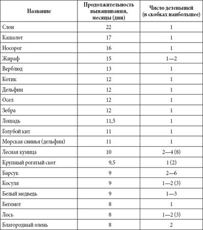Андрей Чернявский, Дмитрий Ковальчук - Краткий справочник необходимых знаний