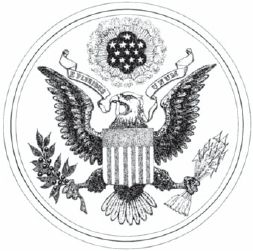 Дэниел Макинерни - США: История страны