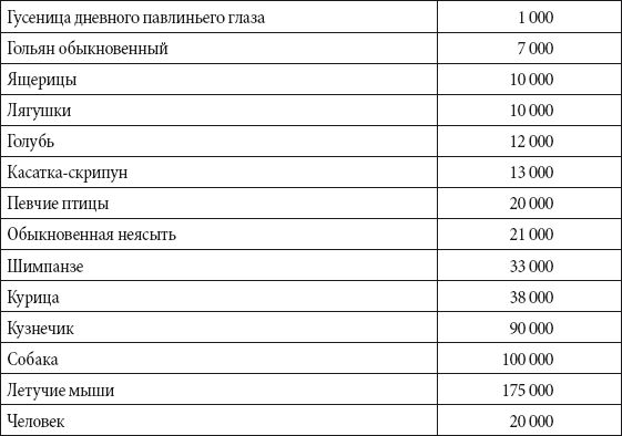 Андрей Чернявский, Дмитрий Ковальчук - Краткий справочник необходимых знаний