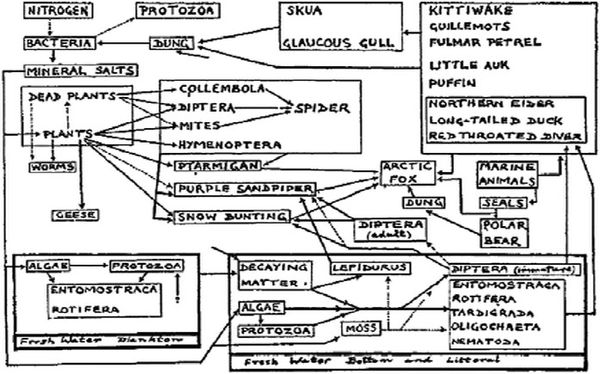 Шон Кэрролл - Закон "джунглей". В поисках формулы жизни