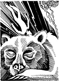 Всеволод Костров - Когда зацветёт папоротник