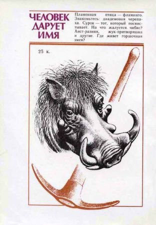 Валентин Краснопевцев - Человек дарует имя