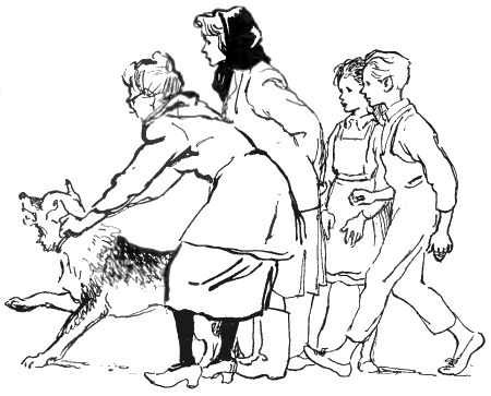 Валентин Рушкис - Повесть о славных делах Волли Крууса и его верных друзей