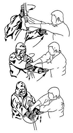 Анатолий Тарас - Воины-тени: Ниндзя и ниндзюцу