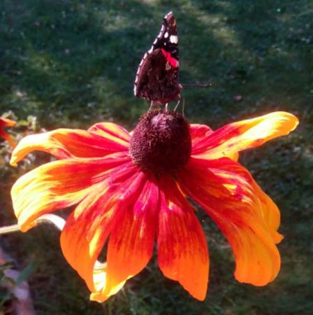 Валентина Ива - За миг до откровения