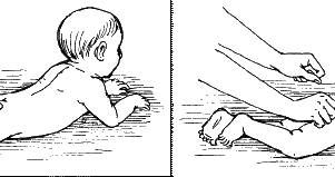 Елена Исаева - Детский массаж. Поэтапное руководство