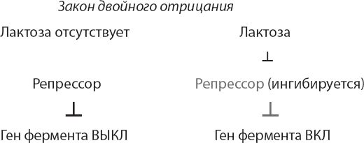 Шон Кэрролл - Закон "джунглей". В поисках формулы жизни