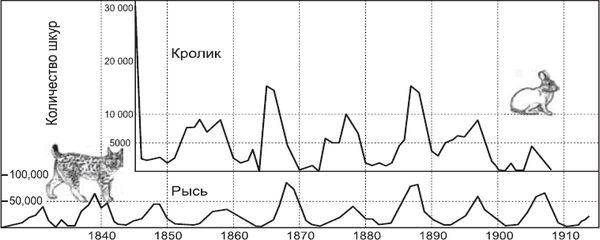 Шон Кэрролл - Закон "джунглей". В поисках формулы жизни