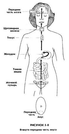 Мантэк Чиа, Мэниван Чиа - Совершенствование женской сексуальной энергии