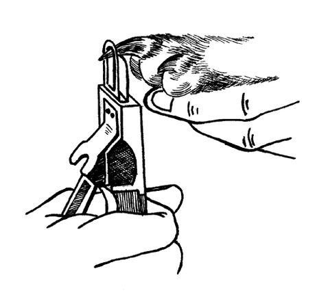 Марина Куропаткина - Ретриверы