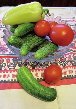 Татьяна Дорошенко - Целебные растения