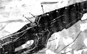 Алексей Потапов - Искусство снайпера