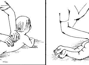 Елена Исаева - Детский массаж. Поэтапное руководство