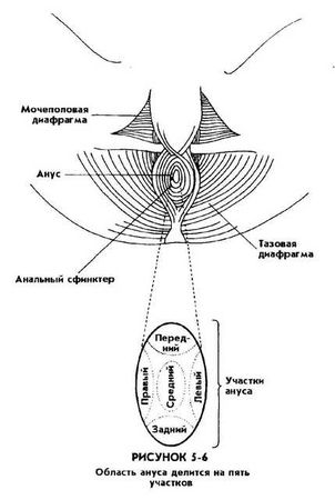 Мантэк Чиа, Мэниван Чиа - Совершенствование женской сексуальной энергии