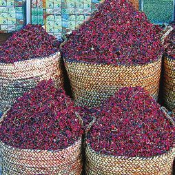 Татьяна Дорошенко - Целебные растения