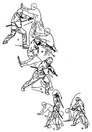 Анатолий Тарас - Воины-тени: Ниндзя и ниндзюцу