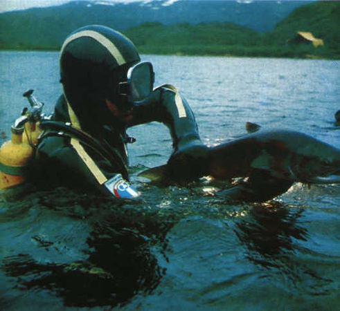 Жак-Ив Кусто, И. Паккале - Лососи, бобры, каланы