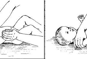 Елена Исаева - Детский массаж. Поэтапное руководство