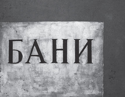 Наталия Злыднева - Изображение и слово в риторике русской культуры ХХ века