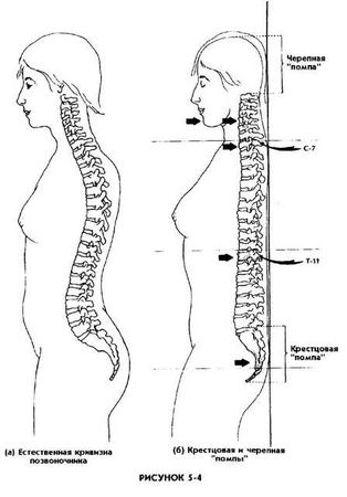 Мантэк Чиа, Мэниван Чиа - Совершенствование женской сексуальной энергии