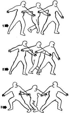 Анатолий Тарас - Воины-тени: Ниндзя и ниндзюцу