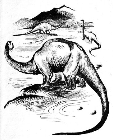 Николай Плавильщиков - Бронтозавр